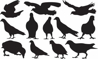 Pigeon Flock Silhouette.eps