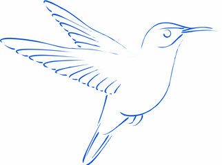 Sketched hummingbird colibri.eps