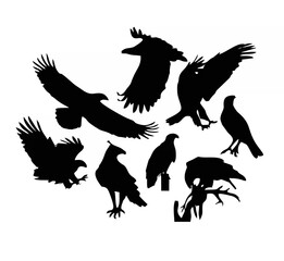 Eagle bird silhouettes vector...
