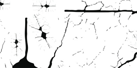 Vector cracks, breaks on land surface from earthquake. old wall background crack vector, grunge texture. cracked white paint on a white background. White black grey wall, floor with cracks, texture ba
