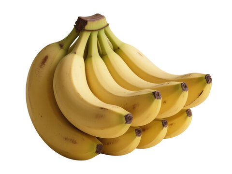 A bunch of fresh ripe bananas isolated on a dark background showcasing healthy fruit and tropical food 