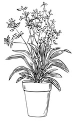 bouquet of flowers