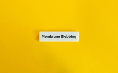 Membrane Blebbing