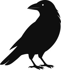 crow silhouette icon on transparent background