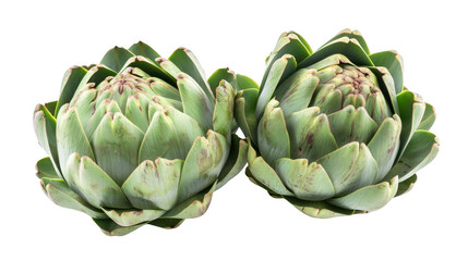 Fototapeta premium Pair of Artichokes