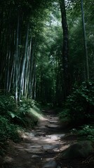 Obraz premium A tranquil path winding through a lush bamboo forest with dappled sunlight