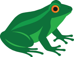frog on white background