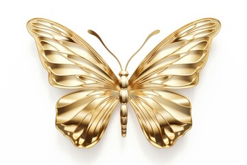 Fototapeta premium Butterfly gold animal insect.