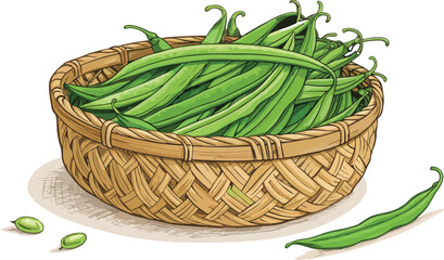 Green Beans in Wicker Basket White Background Vector Illustration