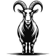 goat on a white background