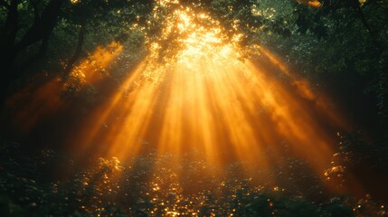 Naklejka premium Sunlight streams through a dense forest canopy