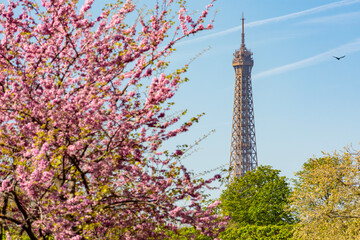 Eiffel Tower in spring, Paris, France