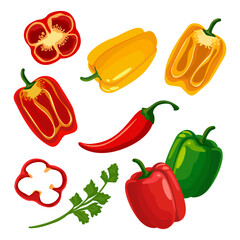 Ripe bell peppers. Whole, half and cut pieces of vegetables. Set of red, green and yellow peppers, hot and sweet peppers. Vector illustration, isolated