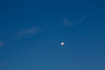 Moon against blue sky. Small disk of the moon against cloudless blue sky.