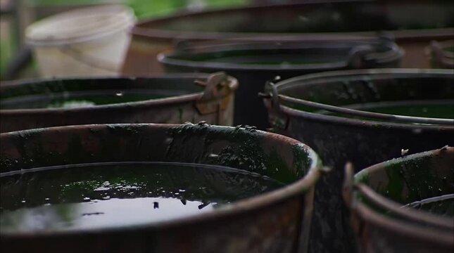 Contamination Hazards: Unsanitary Sludge & Stagnant Water Buckets