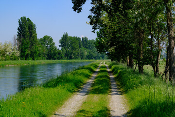 Landscape along the Muzza canal, Milan province, Italy, at springtime