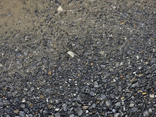 Wet gravel surface with mixed stones and mud, showcasing natural texture. image captures contrast between dark gravel and lighter wet areas, creating earthy feel