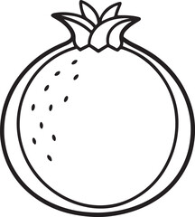 pomegranate fruit line art, black outline, vector and illustration, coloring book page line art drawing