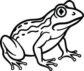 Frog animal line art, Frog silhouette