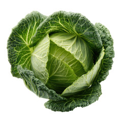 Obraz premium Fresh green cabbage head isolated on transparent PNG background