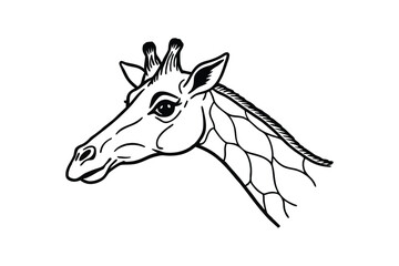 Line art illustration of a giraffe head and neck in profile.eps
