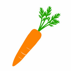 Minimalist Carrot Illustration