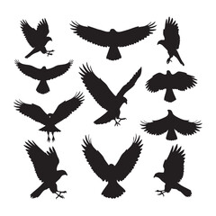 Obraz premium Silhouette set of hawk on white background