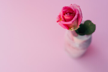 Fototapeta premium Single pink rose in a marbled ceramic vase on a soft pink gradient background. Minimalist floral composition with romantic, delicate and pastel-toned aesthetic