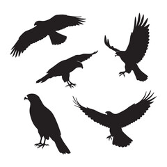 Silhouette set of hawk on white background