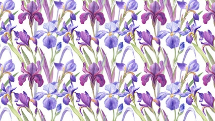 Watercolor pattern of purple and blue iris flowers with green leaves on white background