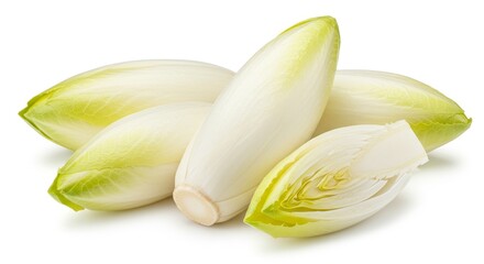 Photo of Endive Vegetables Fresh and Green on White Background
