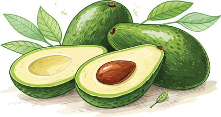 Avocado illustration vector design, Avocado with avocado slice in white background vector design
