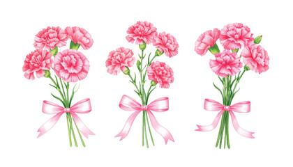 Obraz premium Watercolor set of a bouquet of pink carnations tied with a pink ribbon
