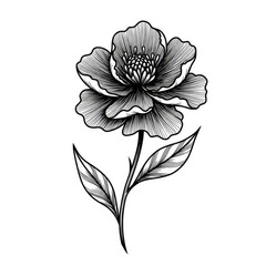 vector illustration of lotus flower