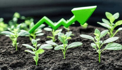 Growing seedlings with an upward trend graph.  Small plants sprout from dark soil, with a bright green upward arrow graphic positioned above them, symbolizing growth and progress
