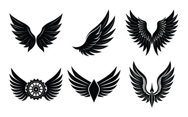 set of wings elements on white background