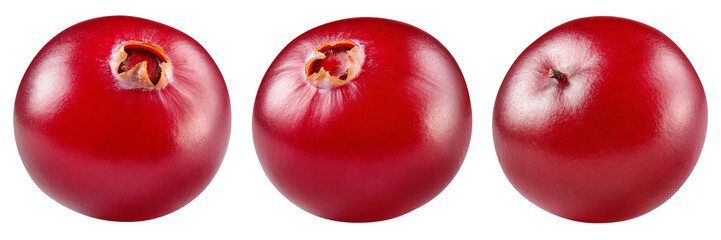 Cranberry isolated png. Cranberries on white or transparent background.. Cranberry berries collection no background. Top view. Full depth of field.