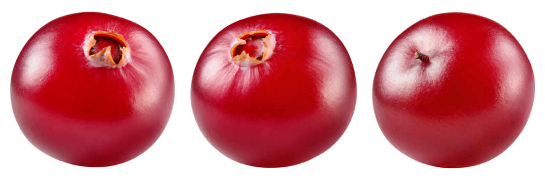 Cranberry isolated png. Cranberries on white or transparent background.. Cranberry berries collection no background. Top view. Full depth of field.