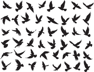 Flying Birds Silhouettes Vector Set – Black Bird Shapes on White Background
