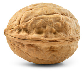 Walnut isolated png. Unpeeled walnut on white or transparent background. Perfect retouched walnut nut with shell no background. Side view. Full depth of field.