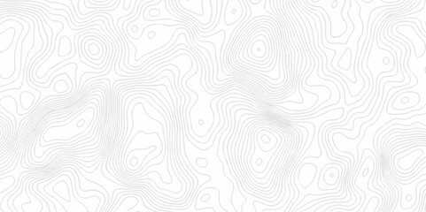Abstract topography pattern seamless lines sea map modern design white background. Abstract digital topographic contour map concept space geometric strip grid line. Natural discovery of maps.