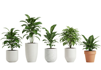 Obraz premium Collection of decorative potted plants with various foliage arranged Isolated on transparent background