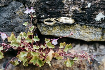 Wedding rings on stone with flowers