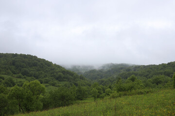 landscape. green mountains in haze. rainy cloudy weather