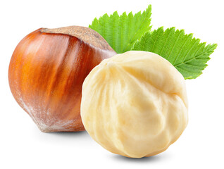 Hazelnut isolated png. Peeled and unpeeled hazelnut with leaf on transparent background. Perfect retouched two forest filbert nut no background. Transparent png. Full depth of field.