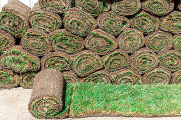 unrolled roll of lawn on the background of a stack of other rolls