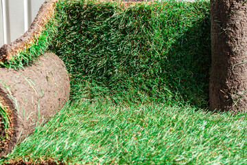 unrolled roll of lawn close up