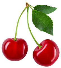 Cherry isolated png. Sour cherry with leaf on white or transparent background. Perfect retouched two cherries on branch with leaves no background.  Png cherry flat lay.  Full depth of field.