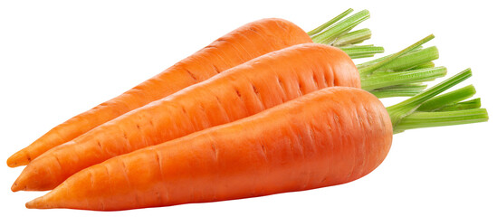 Carrot png. Carrot on white or transparent background. Perfect retouched three carrots no background. Transparent png. Full depth of field.