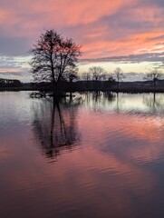 Crépuscule aquatique
